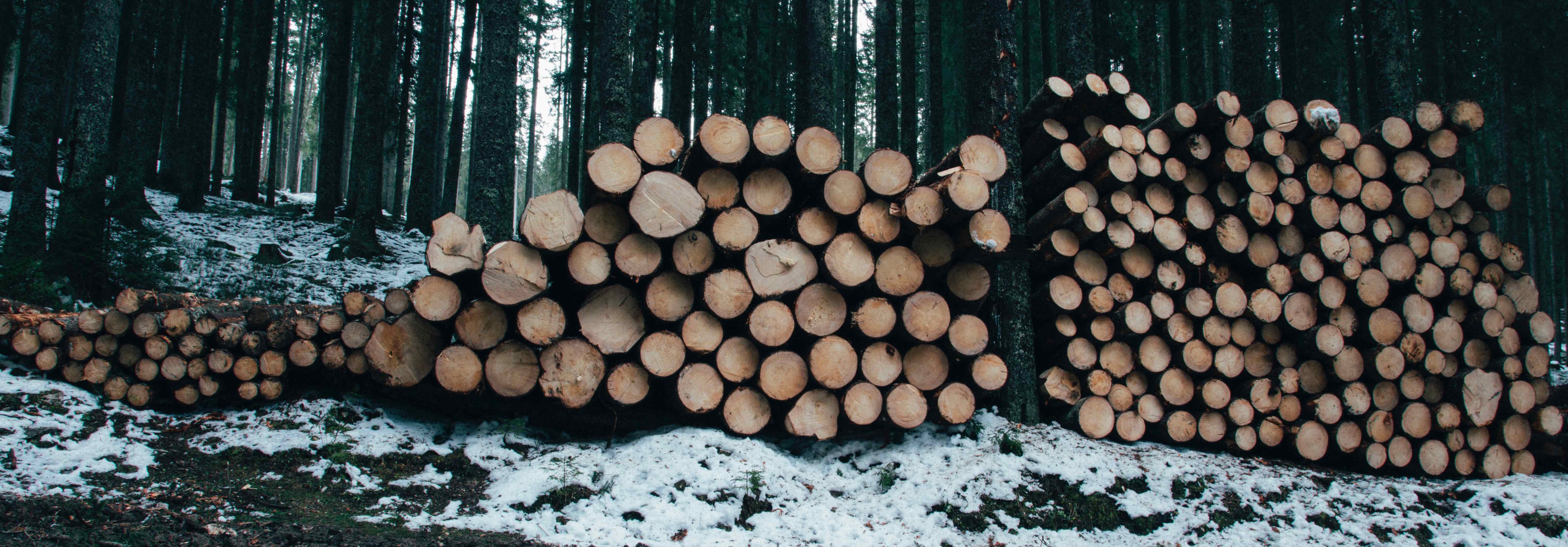 api log